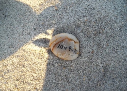 Wish Rock