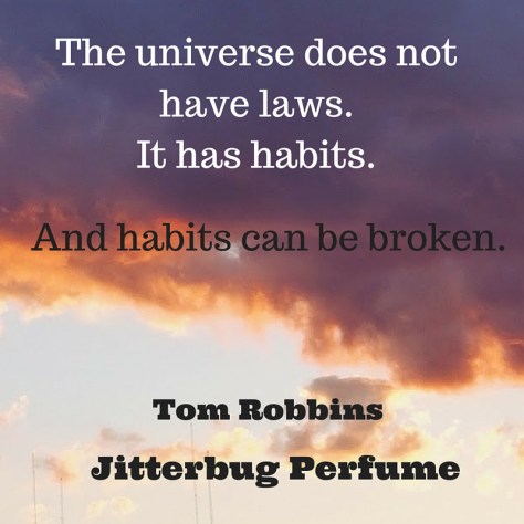 The universe does not have laws.It has habits.