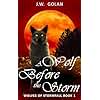 A Wolf Before the Storm: Wolves of Stormfall Book 1