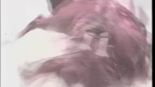 Movin on Livestock Clips