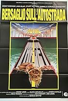 Bersaglio sull'autostrada