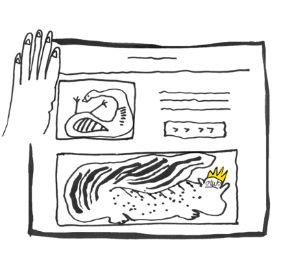 Illustration of email layout