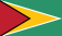 Flag of Guyana