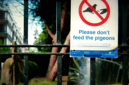 Just don't