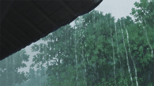 rain