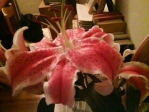 MothersDayFlowers2