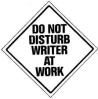 Do Not Disturb