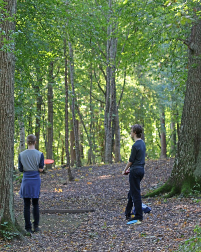 disc golf 1