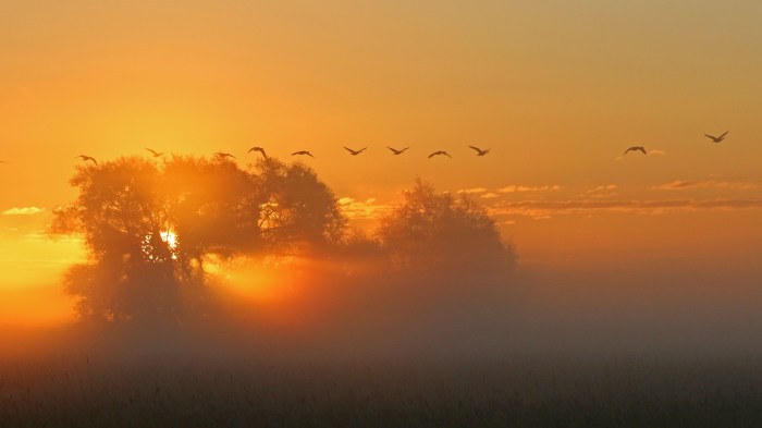Sunrise