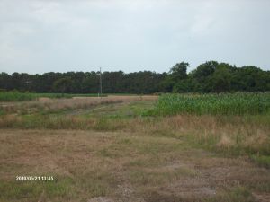 Edisto 040