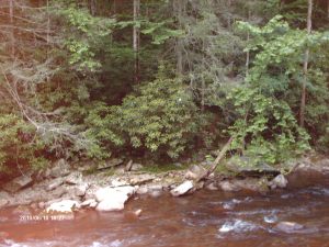 Gatlinburg 048