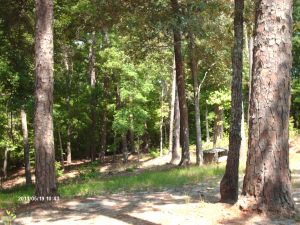 kettlecreek 011
