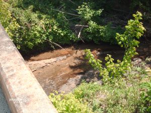 kettlecreek 015