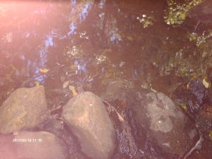 kettlecreek 018