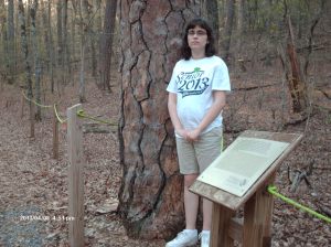 Marshall Forest 012