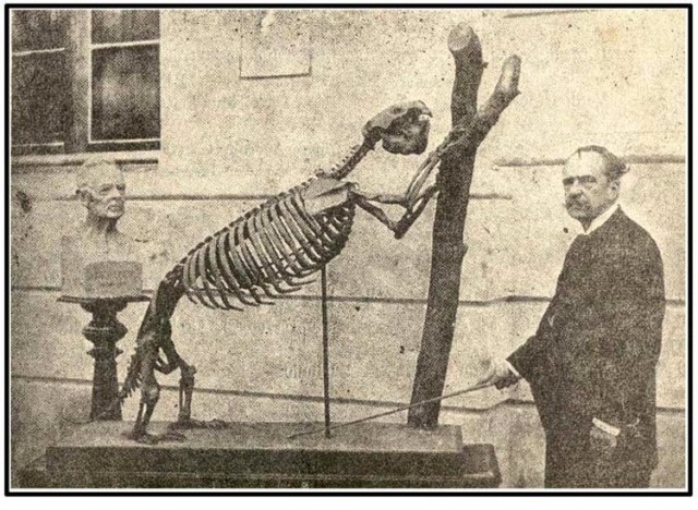 Dr. Carlos de la Torre and the climbing mount of the Megalocnus rodens