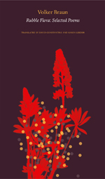 Layout 1