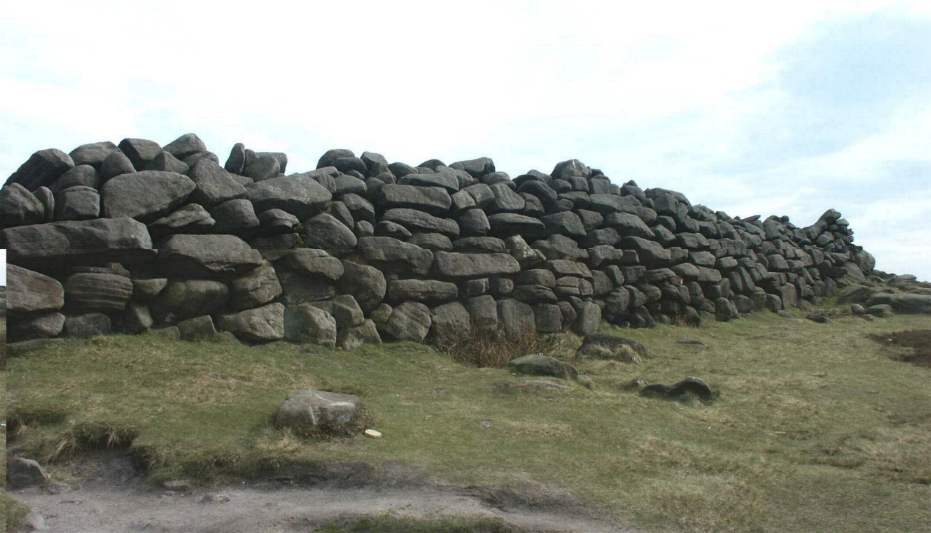 carlwarkwall