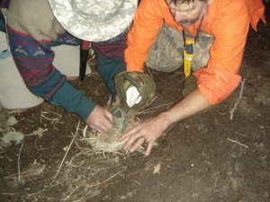 Training applied in the field. Magnesium scraped into the bill of a hat then put into a tinder bundle for fire as the sun is setting. All we had was our knives and the one mag bar with striking insert to create a heat source suitable for a Northern Arizona Winter night that went down to the mid-teens..