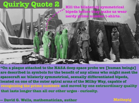 Mathspig Quirky Quote 2