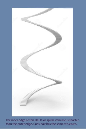 pic 5 HELIX spiral staircase