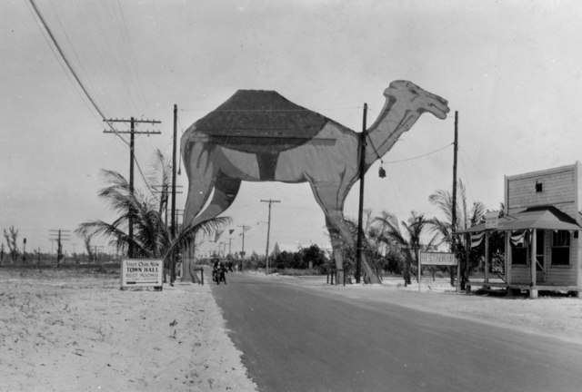 camel-2100