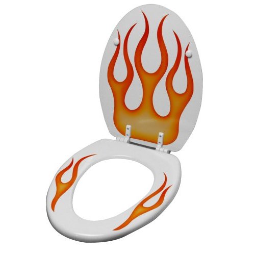 toilet seat
