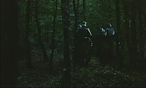 Forest