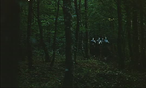 Forest
