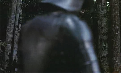 Armour