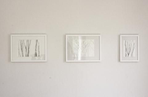exhibition