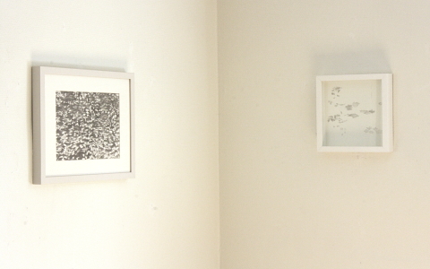exhibition