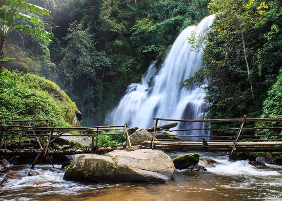 Roof of Thailand Tour- Doi Inthanon National Park - Picture of The Vorra Travel, Chiang Mai - Tripadvisor
