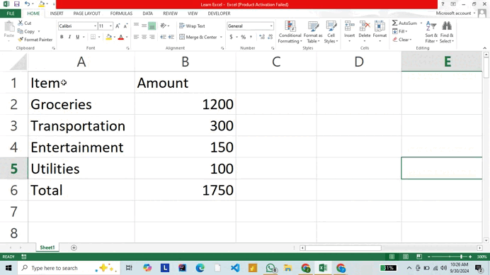 Entering and formatting data in excel.