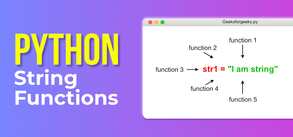编码与解码的艺术:Python中bytes和str的区别解析
