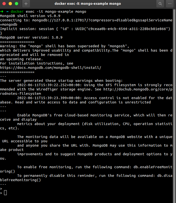 accessing-mongodb-shell