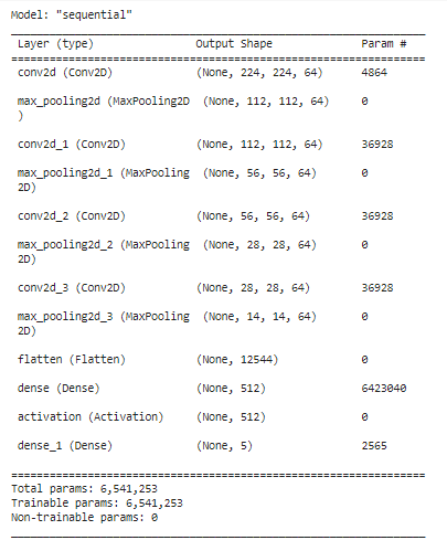 Model Summary