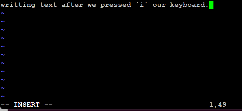 opened a file and pressed `i` to write content