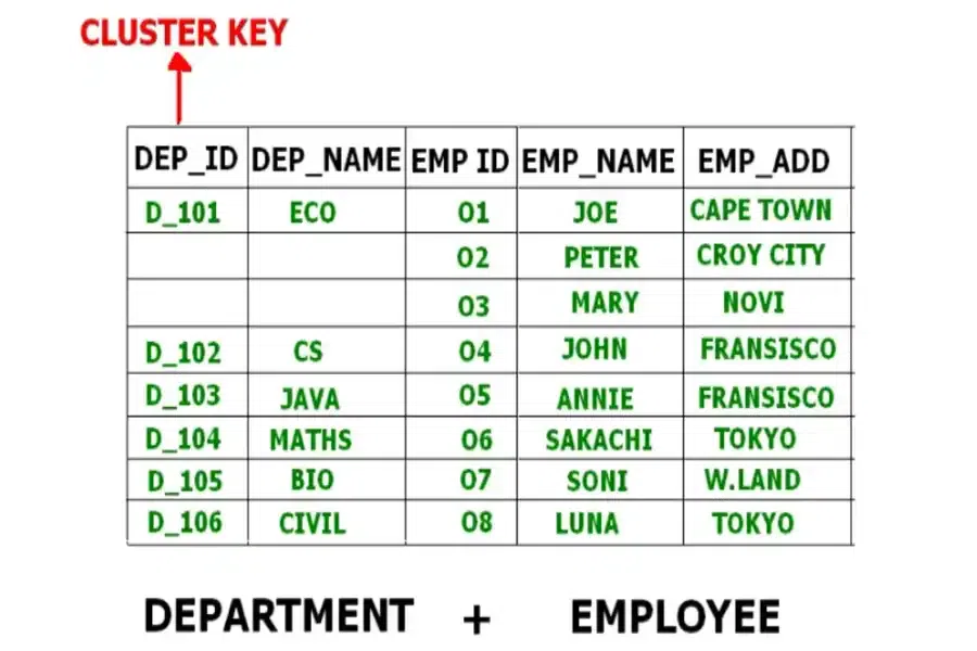Cluster File Organization
