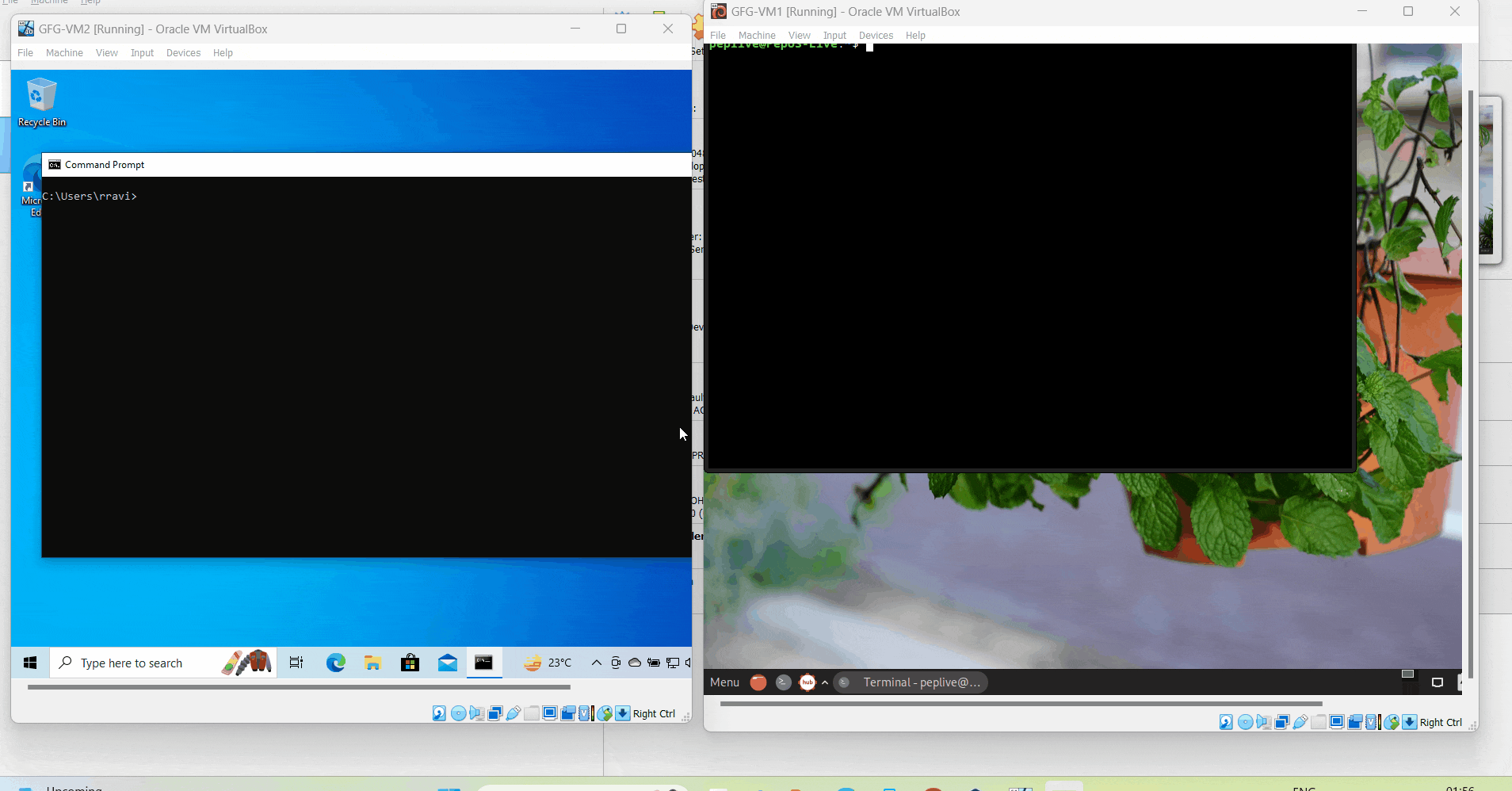 Windows 10 OS based Virtual Machine and Linux Peppermint OS based Virtual Machine on Windows 11 based Physical Machine.