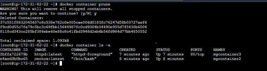 Pruning-Docker-Containers