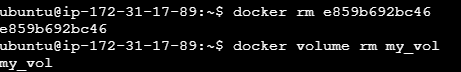 Remove-Docker-Volume