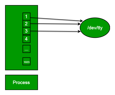 Standard File Descriptors