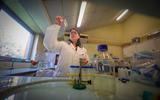 Environnement : de la production de bioplastique à partir de sédiments de l’Adour ? Le pari de la recherche à Pau