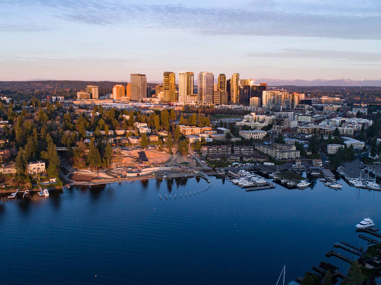 Bellevue Bellevue