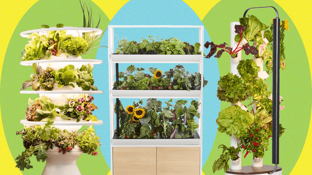 We Tried 8 of the Most Popular Indoor Gardening Systems