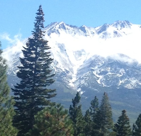 blanket of light snow 9-5-15_800_600