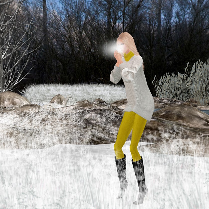 Snowy2