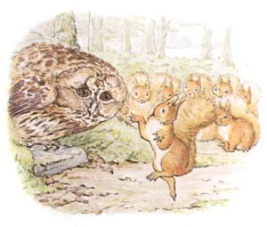squirrel