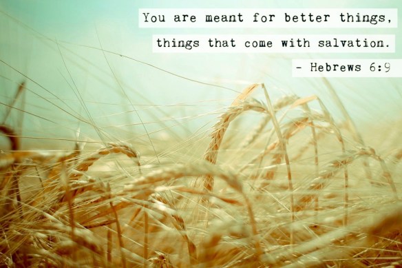 wheat-1882977_960_7201